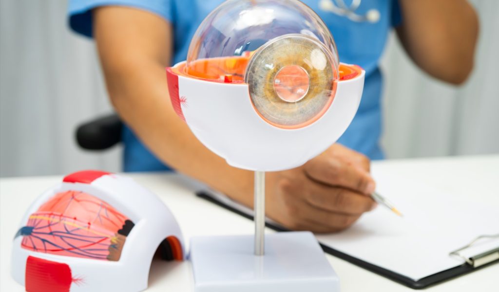 asian-doctor-with-eye-human-anatomy-model-for-stud-2025-12-07-17-14-34-utc